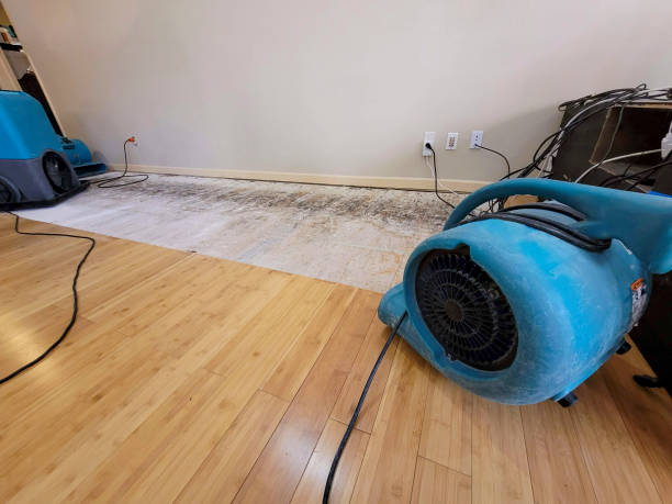 Reliable Basement Flood Cleanup contractor in Locust Grove, VA by Hirex Water Damage