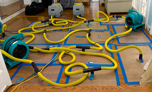 Professional Basement Flood Cleanup technician working in Locust Grove, VA